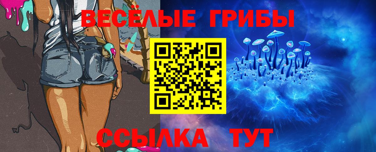 Галлюциногенные грибы Psilocybine cubensis Семилуки