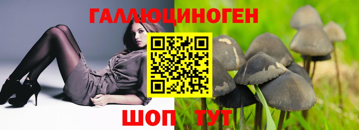 Псилоцибиновые грибы Cubensis  Вход с VPN  Семилуки 